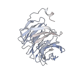 31031_7e9g_B_v1-1
Cryo-EM structure of Gi-bound metabotropic glutamate receptor mGlu2