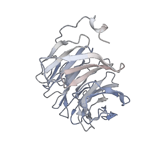 31031_7e9g_B_v2-0
Cryo-EM structure of Gi-bound metabotropic glutamate receptor mGlu2