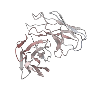 31031_7e9g_D_v1-1
Cryo-EM structure of Gi-bound metabotropic glutamate receptor mGlu2