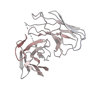 31031_7e9g_D_v2-0
Cryo-EM structure of Gi-bound metabotropic glutamate receptor mGlu2