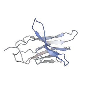 31031_7e9g_E_v1-1
Cryo-EM structure of Gi-bound metabotropic glutamate receptor mGlu2