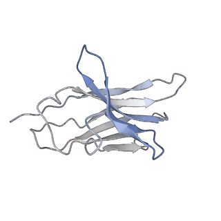 31031_7e9g_E_v2-0
Cryo-EM structure of Gi-bound metabotropic glutamate receptor mGlu2