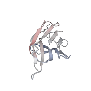 31031_7e9g_F_v2-0
Cryo-EM structure of Gi-bound metabotropic glutamate receptor mGlu2