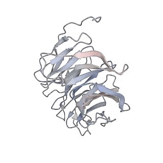 31032_7e9h_B_v1-1
Cryo-EM structure of Gi-bound metabotropic glutamate receptor mGlu4