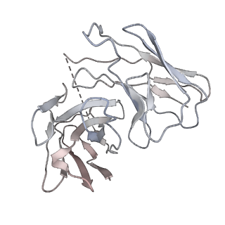 31032_7e9h_D_v1-1
Cryo-EM structure of Gi-bound metabotropic glutamate receptor mGlu4