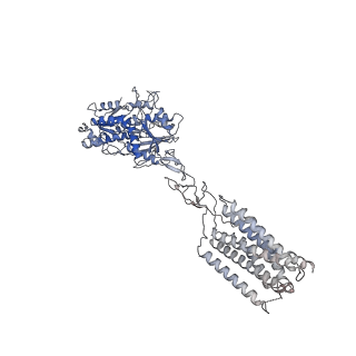 31032_7e9h_S_v1-1
Cryo-EM structure of Gi-bound metabotropic glutamate receptor mGlu4