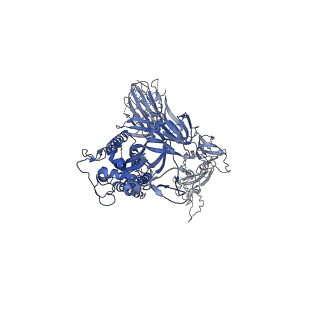 31033_7e9n_A_v1-1
Cryo-EM structure of the SARS-CoV-2 S-6P in complex with 35B5 Fab(1 down RBD, state1)