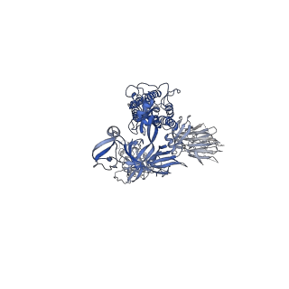 31033_7e9n_C_v1-1
Cryo-EM structure of the SARS-CoV-2 S-6P in complex with 35B5 Fab(1 down RBD, state1)