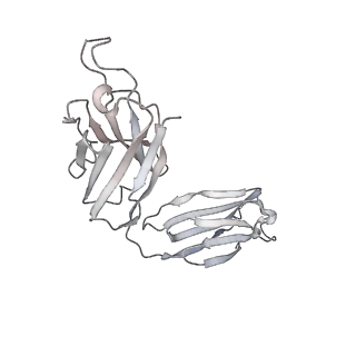 31033_7e9n_H_v1-1
Cryo-EM structure of the SARS-CoV-2 S-6P in complex with 35B5 Fab(1 down RBD, state1)