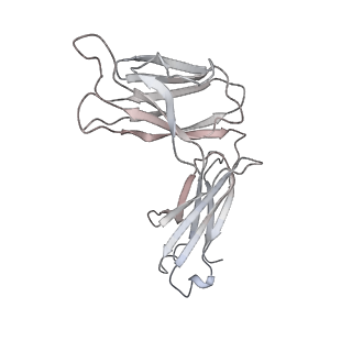 31033_7e9n_L_v1-1
Cryo-EM structure of the SARS-CoV-2 S-6P in complex with 35B5 Fab(1 down RBD, state1)