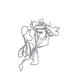 31033_7e9n_O_v1-1
Cryo-EM structure of the SARS-CoV-2 S-6P in complex with 35B5 Fab(1 down RBD, state1)