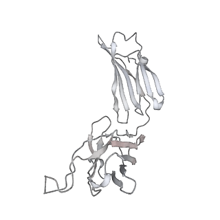 31033_7e9n_P_v1-1
Cryo-EM structure of the SARS-CoV-2 S-6P in complex with 35B5 Fab(1 down RBD, state1)