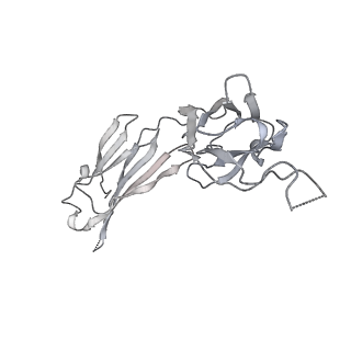 31033_7e9n_Y_v1-1
Cryo-EM structure of the SARS-CoV-2 S-6P in complex with 35B5 Fab(1 down RBD, state1)