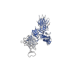 31034_7e9o_C_v1-1
Cryo-EM structure of the SARS-CoV-2 S-6P in complex with 35B5 Fab(3 up RBDs, state2)