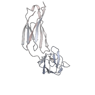 31034_7e9o_H_v1-1
Cryo-EM structure of the SARS-CoV-2 S-6P in complex with 35B5 Fab(3 up RBDs, state2)