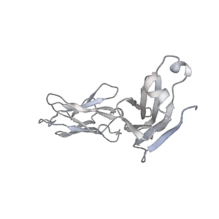 31034_7e9o_O_v1-1
Cryo-EM structure of the SARS-CoV-2 S-6P in complex with 35B5 Fab(3 up RBDs, state2)