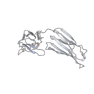 31034_7e9o_P_v1-1
Cryo-EM structure of the SARS-CoV-2 S-6P in complex with 35B5 Fab(3 up RBDs, state2)