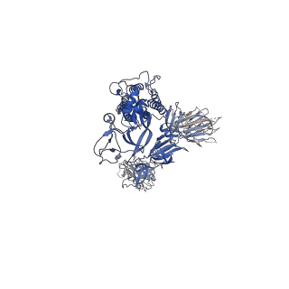 31036_7e9q_A_v1-1
Cryo-EM structure of the SARS-CoV-2 S-6P in complex with 35B5 Fab(1 out RBD, state3)