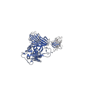 31036_7e9q_B_v1-1
Cryo-EM structure of the SARS-CoV-2 S-6P in complex with 35B5 Fab(1 out RBD, state3)