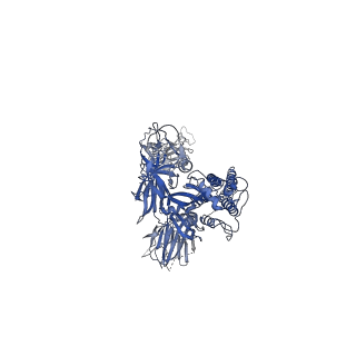 31036_7e9q_C_v1-1
Cryo-EM structure of the SARS-CoV-2 S-6P in complex with 35B5 Fab(1 out RBD, state3)