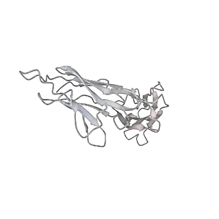 31036_7e9q_E_v1-1
Cryo-EM structure of the SARS-CoV-2 S-6P in complex with 35B5 Fab(1 out RBD, state3)