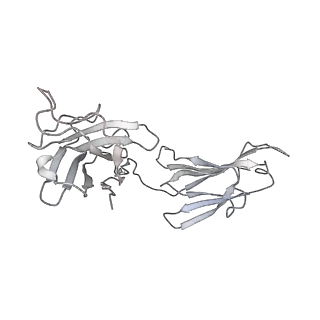 31036_7e9q_F_v1-1
Cryo-EM structure of the SARS-CoV-2 S-6P in complex with 35B5 Fab(1 out RBD, state3)
