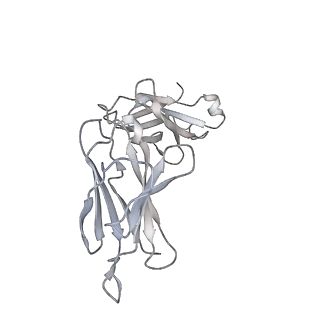 31036_7e9q_X_v1-1
Cryo-EM structure of the SARS-CoV-2 S-6P in complex with 35B5 Fab(1 out RBD, state3)
