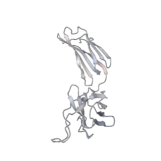 31036_7e9q_Y_v1-1
Cryo-EM structure of the SARS-CoV-2 S-6P in complex with 35B5 Fab(1 out RBD, state3)