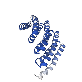 9020_6e9y_D_v1-1
DHF38 filament