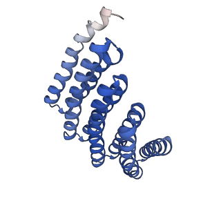 9020_6e9y_F_v1-1
DHF38 filament