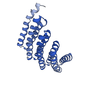 9020_6e9y_I_v1-1
DHF38 filament