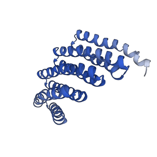 9020_6e9y_J_v1-1
DHF38 filament