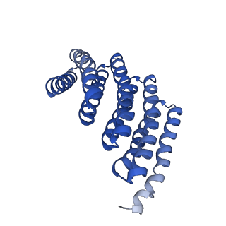 9020_6e9y_K_v1-1
DHF38 filament