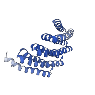 9020_6e9y_L_v1-1
DHF38 filament