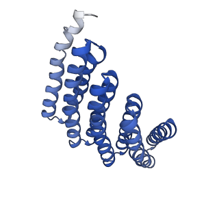 9020_6e9y_M_v1-1
DHF38 filament