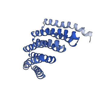 9020_6e9y_N_v1-1
DHF38 filament