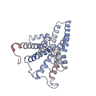 27970_8ea0_A_v1-2
CryoEM structure of miniGq-coupled hM3R in complex with iperoxo (local refinement)