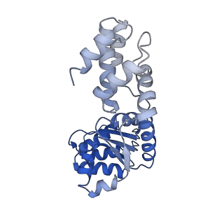 27971_8ea3_A_v1-2
V-K CAST Transpososome from Scytonema hofmanni, major configuration