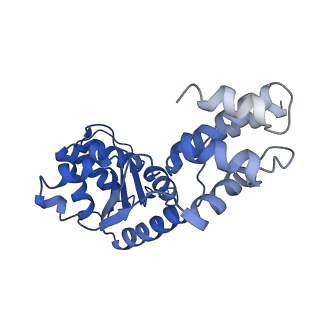 27971_8ea3_B_v1-2
V-K CAST Transpososome from Scytonema hofmanni, major configuration