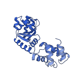 27971_8ea3_C_v1-2
V-K CAST Transpososome from Scytonema hofmanni, major configuration