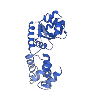 27971_8ea3_D_v1-2
V-K CAST Transpososome from Scytonema hofmanni, major configuration