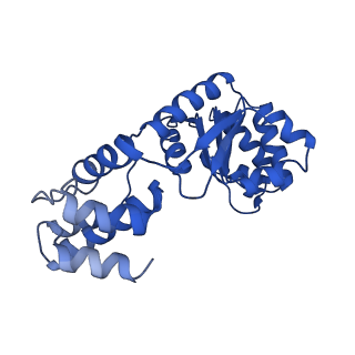 27971_8ea3_E_v1-2
V-K CAST Transpososome from Scytonema hofmanni, major configuration
