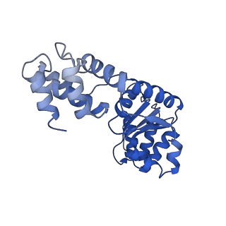 27971_8ea3_F_v1-2
V-K CAST Transpososome from Scytonema hofmanni, major configuration