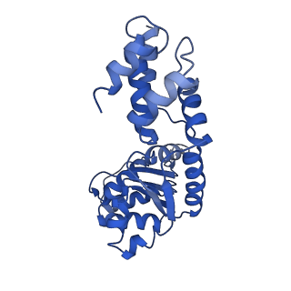 27971_8ea3_G_v1-2
V-K CAST Transpososome from Scytonema hofmanni, major configuration
