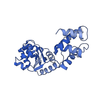 27971_8ea3_H_v1-2
V-K CAST Transpososome from Scytonema hofmanni, major configuration