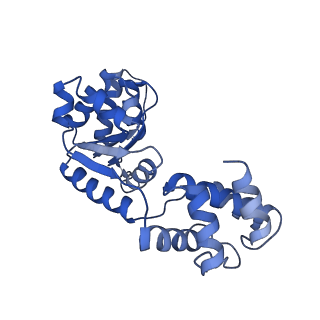 27971_8ea3_I_v1-2
V-K CAST Transpososome from Scytonema hofmanni, major configuration
