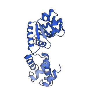 27971_8ea3_J_v1-2
V-K CAST Transpososome from Scytonema hofmanni, major configuration