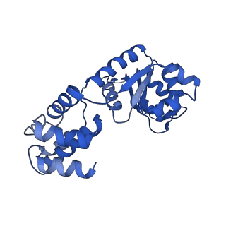 27971_8ea3_K_v1-2
V-K CAST Transpososome from Scytonema hofmanni, major configuration