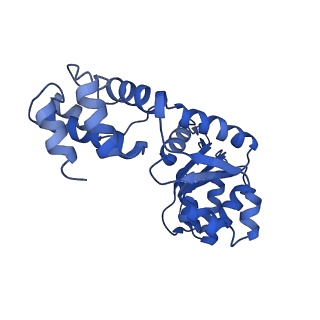 27971_8ea3_L_v1-2
V-K CAST Transpososome from Scytonema hofmanni, major configuration