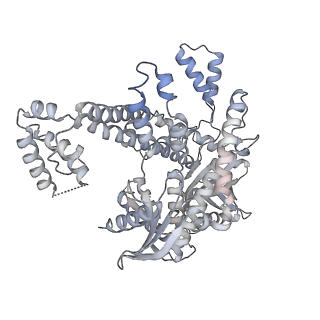 27971_8ea3_O_v1-2
V-K CAST Transpososome from Scytonema hofmanni, major configuration